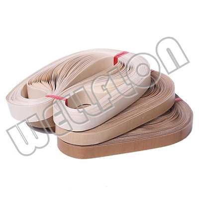 PTFE Teflon Seamless Ring Tape